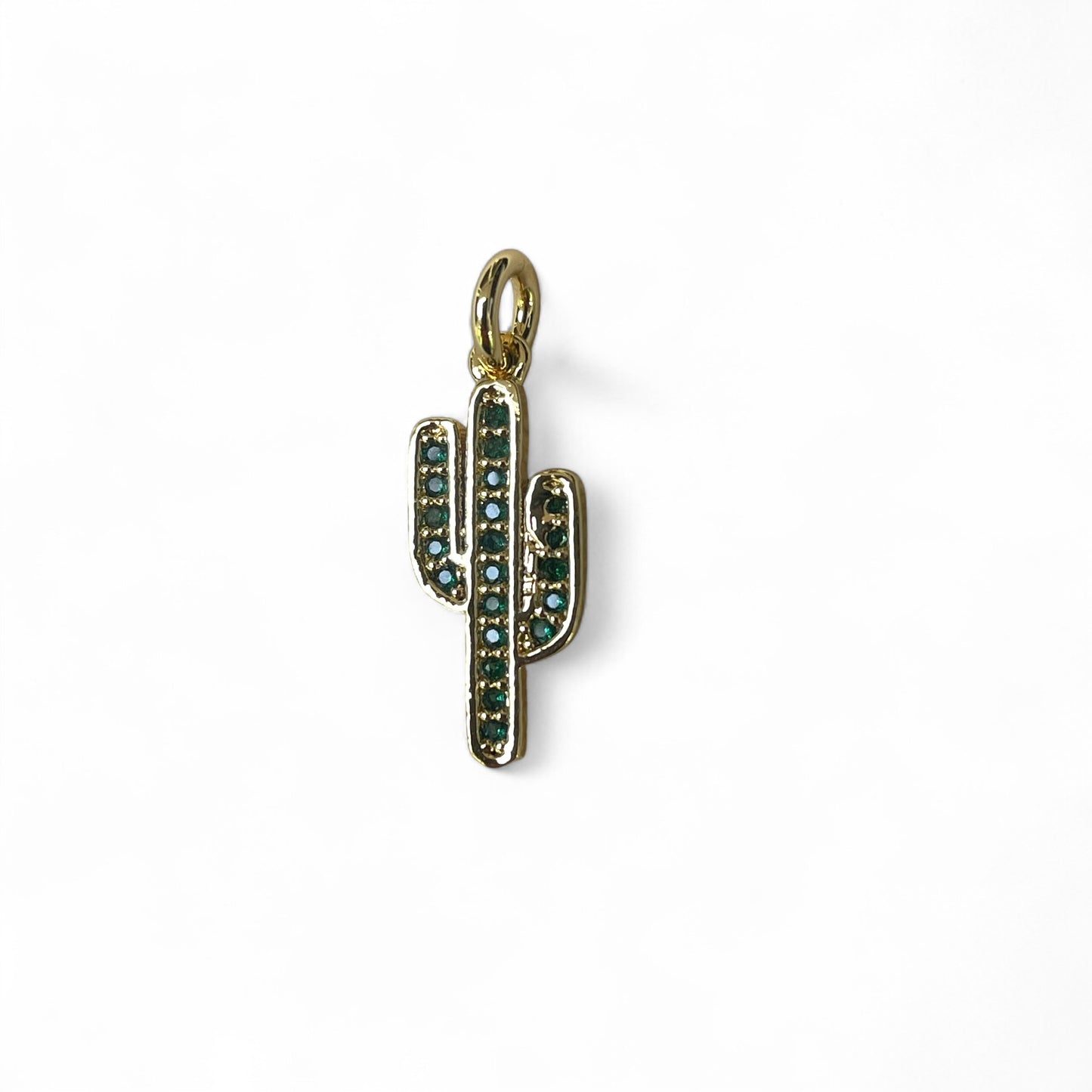 Pendant cactus